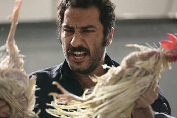 بیوگرافی نوید محمدزاده؛ عکس های نوید محمدزاده و زندگی شخصی اش و همسرش