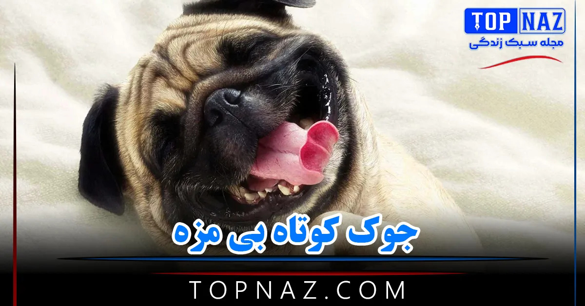 جوک کوتاه بی مزه + 45 جوک فوقالعاده خندهدار جدید و باحال